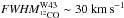 \hbox{${\it FWHM} _{^{12}\rm CO}^{\rm W43} \sim 30~\kms$}