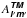 \hbox{$\textit{A}_{\mathhvit{l'm'}}^{\mathhvit{TM}}$}