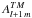 \hbox{$A_{l+1 \, m}^{TM}$}