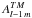 \hbox{$A_{l-1 \, m}^{TM}$}