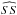 \hbox{$\widehat{SS}$}