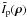 \hbox{$\tilde{I}_{\rm p} (\vec{\rho})$}