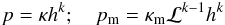 \begin{eqnarray} \label{eq:ppm} p = \kappa h^k; \quad p_{\rm m} = \kappa_{\rm m} \mathcal{L}^{k-1} h^k \end{eqnarray}