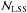 \hbox{${\cal{N}}_{\rm LSS}$}
