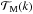 \hbox{${\cal{T}}_{\rm M}(k)$}