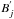 \hbox{$B^{'}_{j}$}