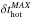 \hbox{$\delta t^{MAX}_{\rm hot}$}