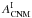 \hbox{$A_{\rm CNM}^{\rm I}$}