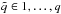 \hbox{$\tilde{q}\in1,\ldots,q$}