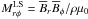 \hbox{$M_{r\phi}^{\rm LS}=\mean B_r \mean B_\phi/\rho\mu_0$}