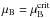 \hbox{$\mu_{\rm B}=\mu_{\rm B}^{\rm crit}$}