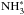 \hbox{$\rm NH_3^{\ast}$}