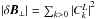 \hbox{$|\delta \vec{B}_\perp| = \sum_{k>0} {|C^L_k|}^2$}