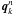 \hbox{$\bm q_k^n$}