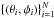 \hbox{$\{(\theta_i,\phi_i)\}_{i=1}^N$}