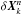 \hbox{$\delta \vec{X}_k^n$}