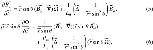 \begin{eqnarray} \label{effetomega} &&\frac{{\partial}\widetilde{B_\varphi}}{{\partial}\widetilde{t}} = \widetilde{r}\sin\theta \, (\widetilde{\vec{B}_{\rm p}}\cdot\widetilde{\vec{\nabla}}) \, \widetilde{\Omega}+\frac{1}{L_{\rm u}}\left(\widetilde{\Delta}-\frac{1}{\widetilde{r}^2\sin^2\theta}\right)\widetilde{B_\varphi} , \\ \label{retroaction} && {\widetilde{\rho}} \, \, \widetilde{r}\sin\theta \, \frac{{\partial}\widetilde{\Omega}}{{\partial}\widetilde{t}} = \frac{1}{\widetilde{r}\sin\theta} \, (\widetilde{\vec{B}_{\rm p}}\cdot\widetilde{\vec{\nabla}})(\widetilde{r}\sin\theta \, {\widetilde{B_\varphi}})\notag\\ & &\quad \ \ \ \qquad \qquad+\frac{P_{\rm m}}{L_{\rm u}}\left(\widetilde{\Delta}-\frac{1}{\widetilde{r}^2\sin^2\theta}\right)(\widetilde{r}\sin\theta \, \widetilde{\Omega}) . \end{eqnarray}