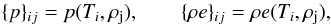\begin{equation} \{p\}_{ij} = p(T_i, \rho_{\rm j}) ,\qquad \{\rho e\}_{ij} = \rho e(T_i, \rho_{\rm j}), \end{equation}