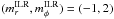 \hbox{${(m_{r}^{\rm ILR} , m_{\phi}^{\rm ILR}) = (-1,2) }$}