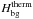 \hbox{$ H_{\rm bg}^{\rm therm} $}