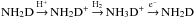 \hbox{$\dammo \arrow^{\hplus} \dammoplus \arrow^{\htwo} \dammohplus \arrow^{\el} \dammo$}