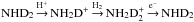 \hbox{$\ddammo \arrow^{\hplus} \dammoplus \arrow^{\htwo} \ddammohplus \arrow^{\el}\ddammo$}