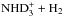\hbox{$\rm NHD_3^+ + H_2$}