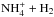 \hbox{${\rm NH_4^+} + {\rm H_2}$}