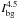 \hbox{$I^{4.5}_{\rm bg}$}