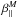 \hbox{$\beta_\parallel^M$}