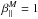 \hbox{$\beta_\parallel^M = 1$}