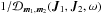 \hbox{${1 / \mathcal{D}_{\bm{m}_{1} , \bm{m}_{2}} (\bm{J}_{1} , \bm{J}_{2} , \omega) }$}