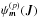 \hbox{${\psi_{\bm{m}}^{(p)} (\bm{J}) }$}