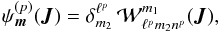 \begin{equation} \psi_{\bm{m}}^{(p)} (\bm{J}) = \delta_{m_{2}}^{\ell^{p}} \, \mathcal{W}^{m_{1}}_{\ell^{p} m_{2} n^{p}} (\bm{J}) , \label{result_psi_m_p} \end{equation}