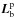 \hbox{$\vec{L}_{\rm b}^{\rm p}$}