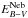 \hbox{$E_{B-V}^{{\rm Neb}}$}