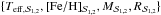 \hbox{$\{T_{\rm eff, {\cal S}_{1,2}}, {\rm [Fe/H]}_{{\cal S}_{1,2}}, M_{{\cal S}_{1,2}}, R_{{\cal S}_{1,2}}\}$}