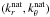 \hbox{$(k_r^{\rm nat}, k^{\rm nat}_{\theta})$}