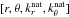 \hbox{$[r,\theta,k^{\rm nat}_r,k^{\rm nat}_{\theta}]$}