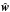 \hbox{$\hat{\vec{w}}$}