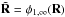 \hbox{$\tilde{\mathbf{R}} = \phi_{1,\infty}(\mathbf{R})$}