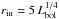 \hbox{$r_{\rm in} = 5 \, L_{\rm bol}^{1/4}$}