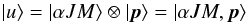 \begin{equation} \left\vert u\right\rangle =\left\vert \alpha JM\right\rangle \otimes \left\vert \vec{p}\right\rangle =\left\vert \alpha JM,\vec{p}\right\rangle \, \end{equation}