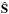 \hbox{$\hat{\bf S}$}