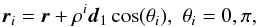 \begin{equation} \vec{r}_i = \vec{r} + \rho^{i}\dvec_1\cos(\theta_i),\,\, \theta_i =0,\pi, \end{equation}