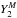 \hbox{$Y_{2}^{M}$}