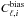 \hbox{$C_{\ell,i}^{\text{bias}}$}