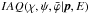 \hbox{$IAQ(\chi, \psi, \bar{\varphi} | \vec{p}, E)$}