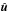 \hbox{$\hat{\bs{u}}$}