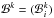 \hbox{$\mathcal B^k=(\mathcal B_{i}^k)$}
